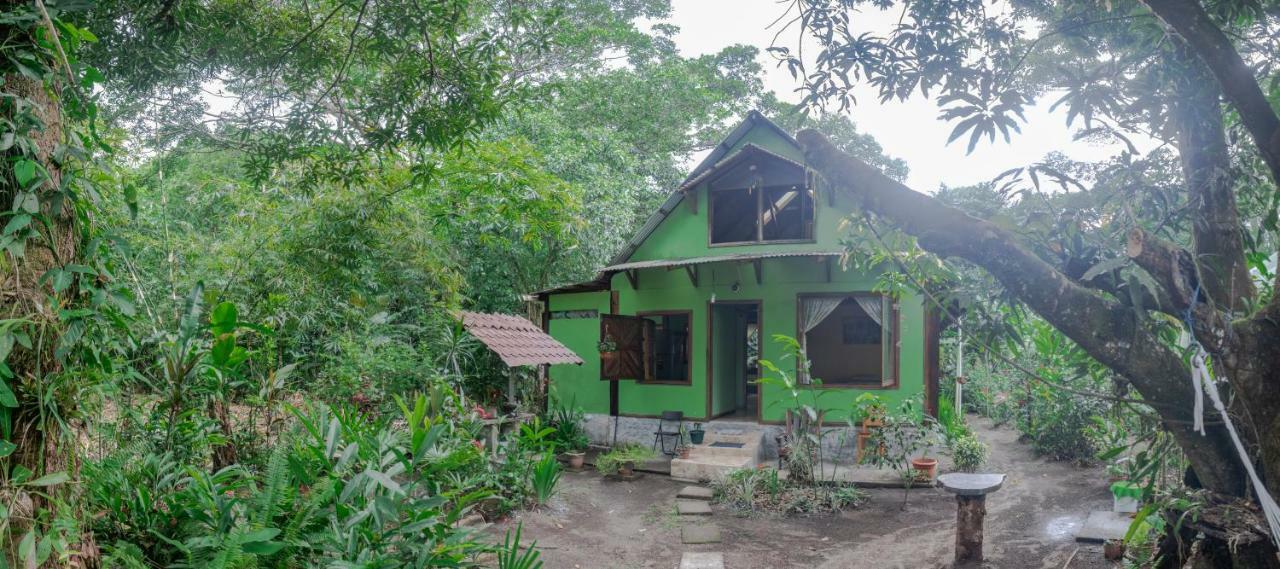 Casa Chilamates Тортугеро Екстериор снимка